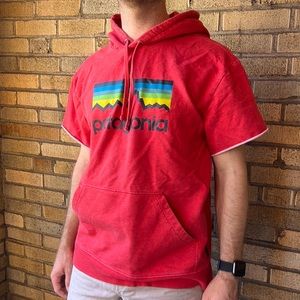 Patagonia sleeveless hoodie